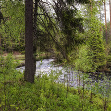 Схема вышивки «№77212»