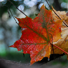 Схема вышивки «листок»