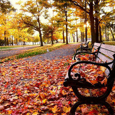 Схема вышивки «осень4»