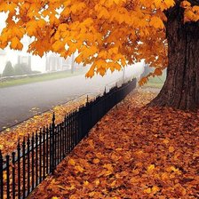 Схема вышивки «осень»