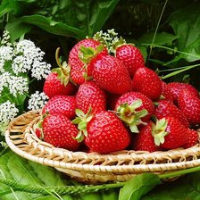 Схема вышивки «Клубника»