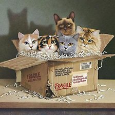 Схема вышивки «Кошки»