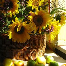 Схема вышивки «Подсолнухи и яблоки»