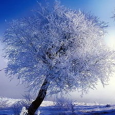 Схема вышивки «зима»