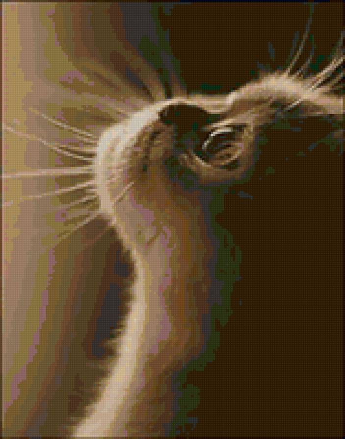 Киса - кошки - предпросмотр