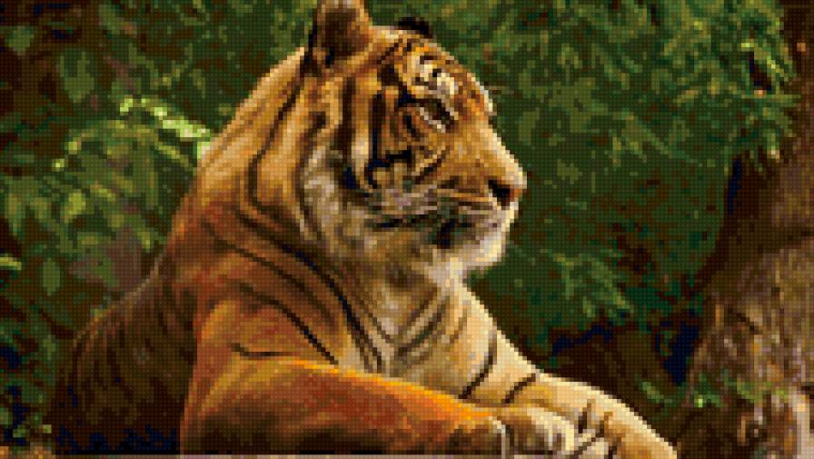 Тигра - предпросмотр