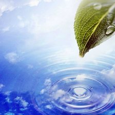 Схема вышивки «Природа»