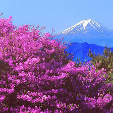 Схема вышивки «Природа»