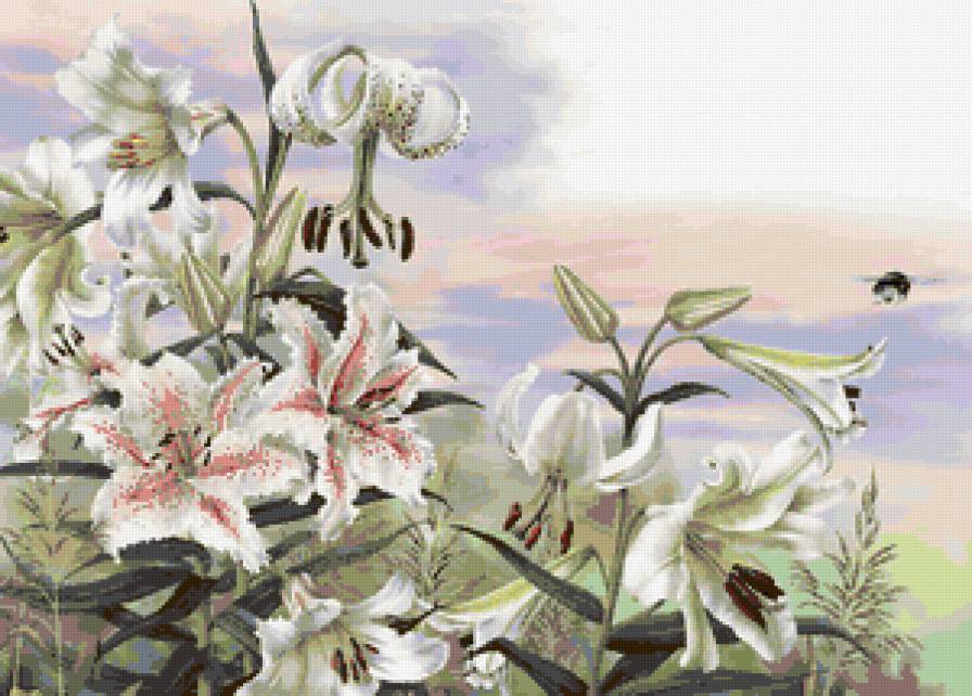 лилии - цветы, лилия, природа, цветок - предпросмотр