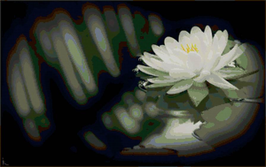 цветок - вода, цветы, картина, лотос - предпросмотр