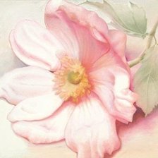 Схема вышивки «№77852»