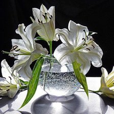 Схема вышивки «№77918»