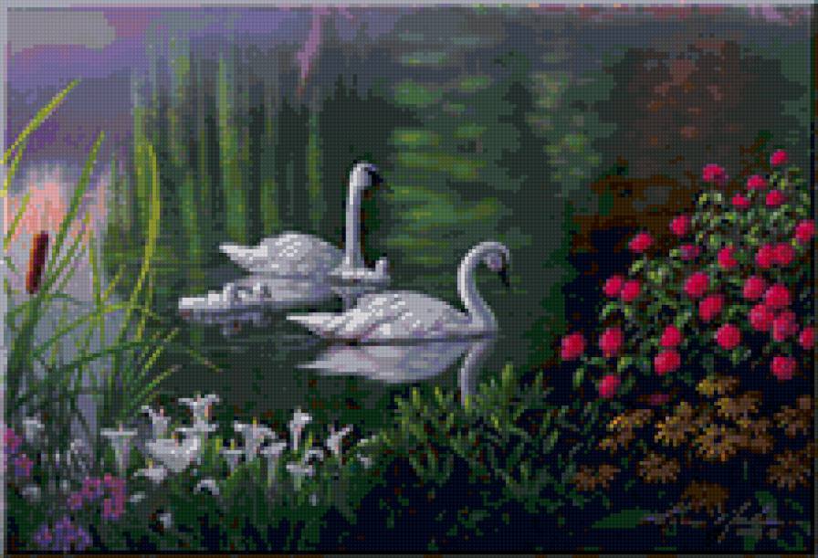 лебеди на реке - река, природа, лебеди - предпросмотр