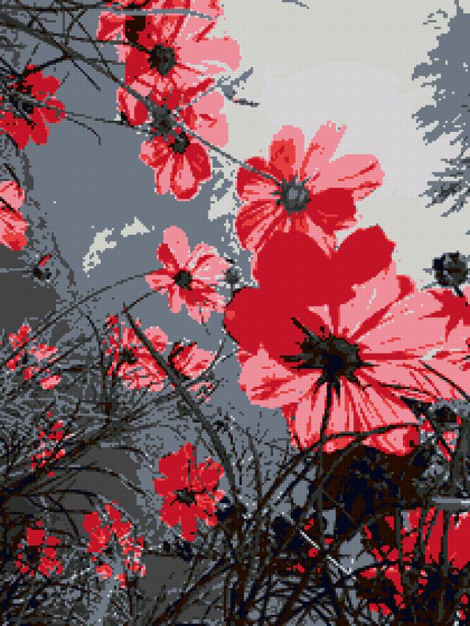 Красные цветы - цветы, природа - предпросмотр