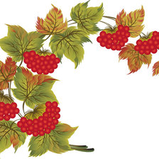 Схема вышивки «калина - символ України»