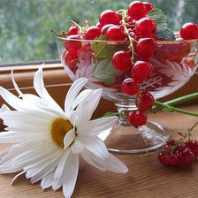 Схема вышивки «ромашка и смородина»