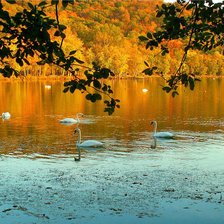 Схема вышивки «№78285»