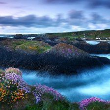 Схема вышивки «№78303»