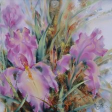 Схема вышивки «ИРИСЫ»