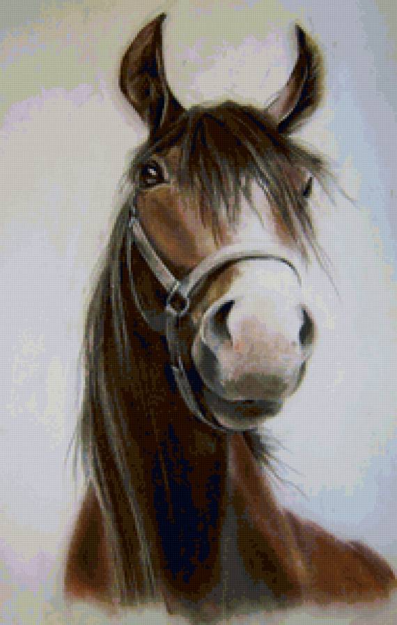 Конь - животные, конь, лошадь - предпросмотр