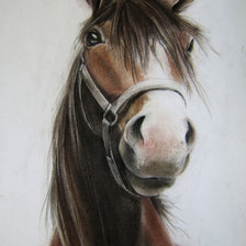 Схема вышивки «Конь»