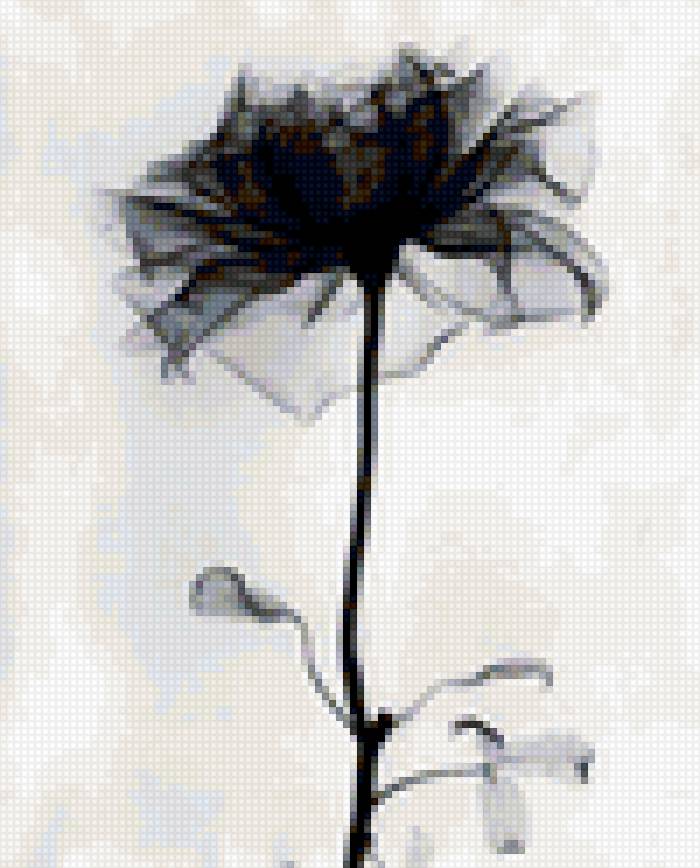 квітка - предпросмотр