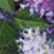 Предпросмотр схемы вышивки «букет сирени» (№78528)
