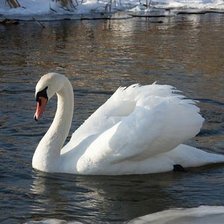 Схема вышивки «Лебедушка»