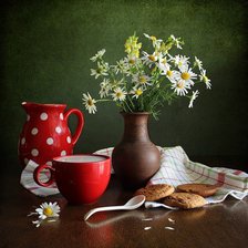 Натюрморт с ромашками