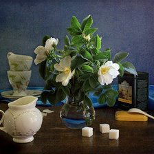 Схема вышивки «Шиповник»