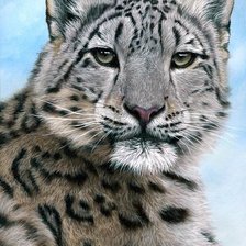 Схема вышивки «№78623»