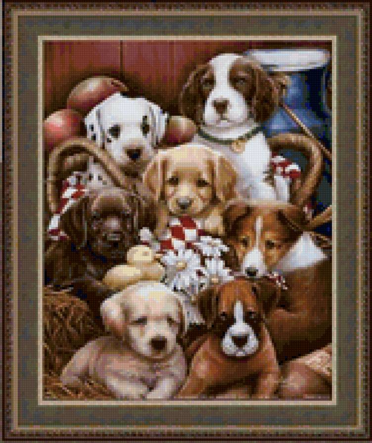 Собаки - животные, природа, собаки - предпросмотр