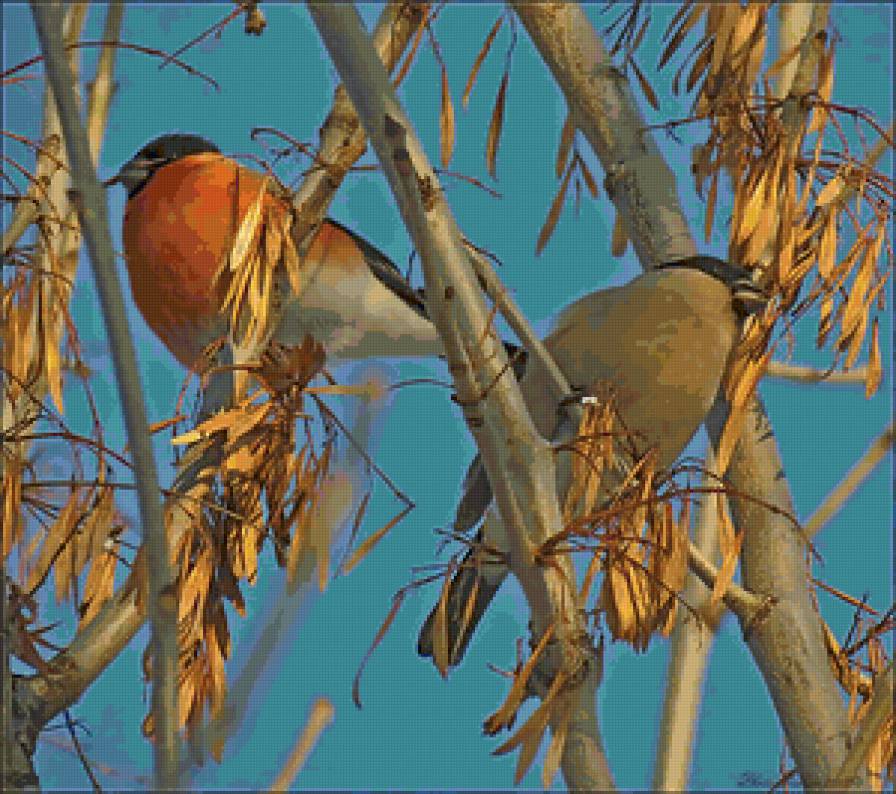 Снегири - птицы, животные, природа - предпросмотр
