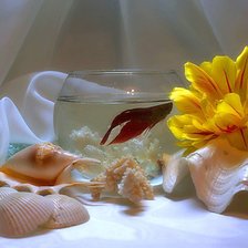 Схема вышивки «Аквариум с рыбкой»