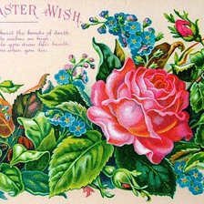 Схема вышивки «Розы и незабудки»