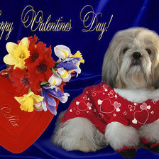 Схема вышивки «356»