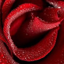 Схема вышивки «№79060»