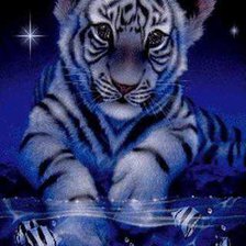 Схема вышивки «тигруля»