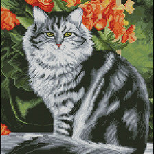 Схема вышивки «№79270»