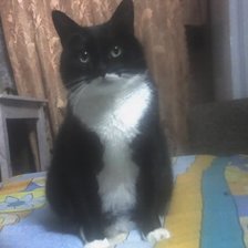 Схема вышивки «маркиз»