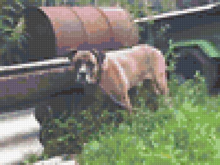 Лорд - предпросмотр