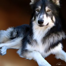 Схема вышивки «Друг»