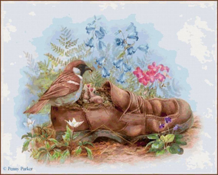 гнездо в ботинке - птицы - предпросмотр