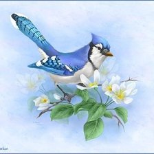 Схема вышивки «птичка на цветущей ветке»