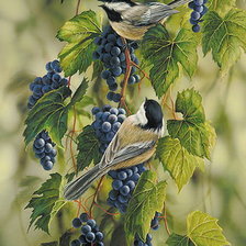 Схема вышивки «синицы на винограде»