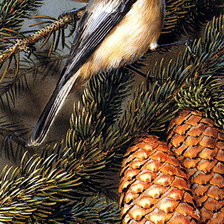 Схема вышивки «синички на еловой ветке»