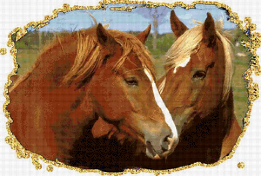 кони - лошади, кони, животные - предпросмотр