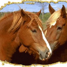 Схема вышивки «кони»