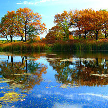 Схема вышивки «Осень на пруду»