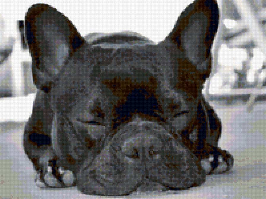 №79499 - предпросмотр